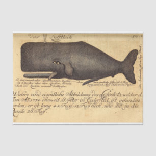 Papier Mousseline Ephémère de script de baleine vintage Découpage na