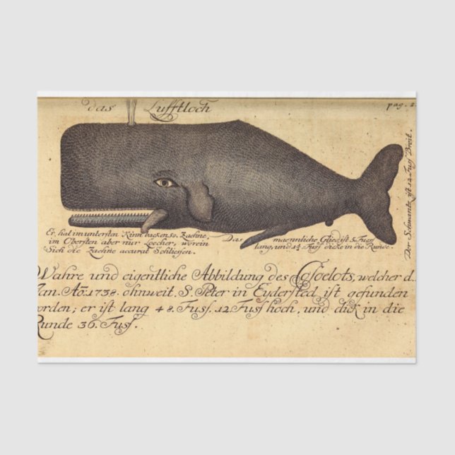 Papier Mousseline Ephémère de script de baleine vintage Découpage na (Recto)