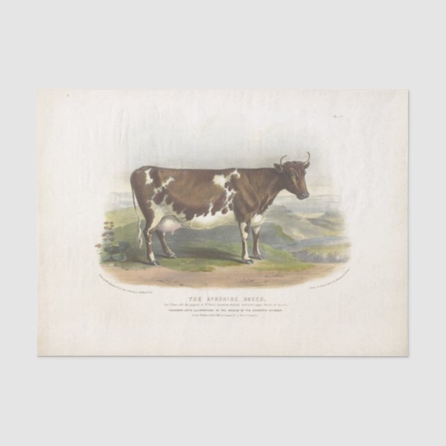 Papier Mousseline Éphémère de vache tachetée Brown Découpage ferme V (Recto)