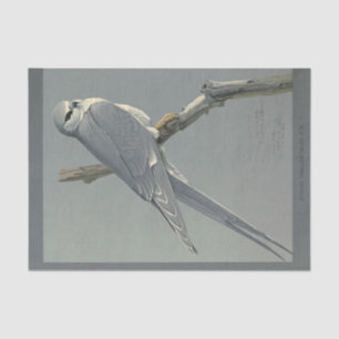 Papier Mousseline Ephémère des oiseaux Découpage Faucon gris