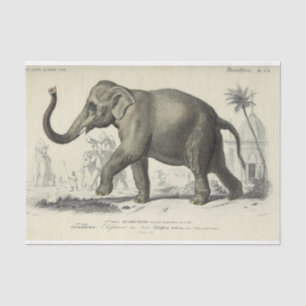 Papier Mousseline Éphémère éléphante vintage Découpage en français S