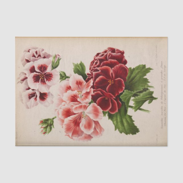 Papier Mousseline Éphémère florale Découpage Bourgogne rose (Recto)