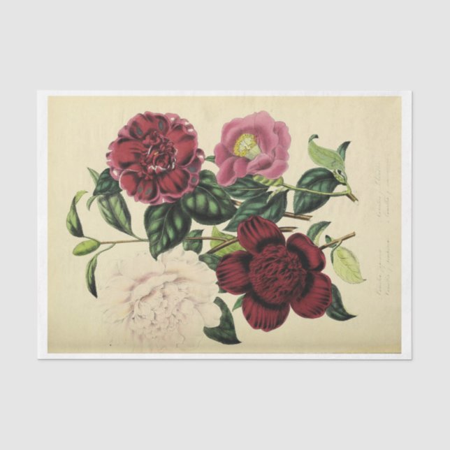 Papier Mousseline Ephémère florale Découpage Bourgogne rose (Recto)