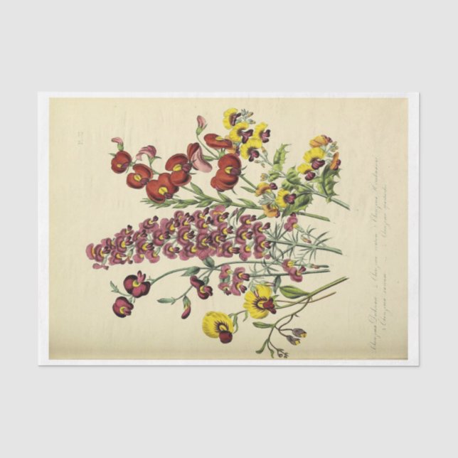 Papier Mousseline Ephémère florale Découpage Fleurs violettes jaunes (Recto)