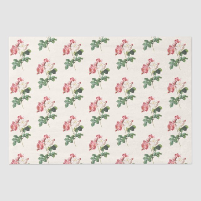 Papier Mousseline Ephémère florale Découpage Rose Motif de crème (Recto)