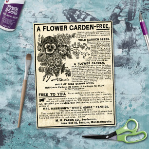 Papier Mousseline Ephémère Jardin Fleur Découpage