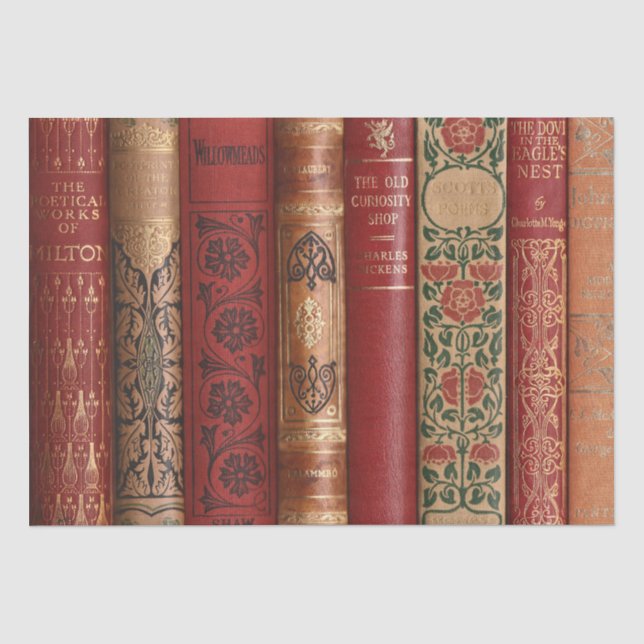 Papier Mousseline Épines du livre de découpage (Dickens Gros) Papier (Recto)