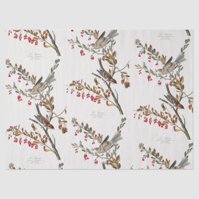 Papier Mousseline Épingles et branches Motif Découpage (Recto)