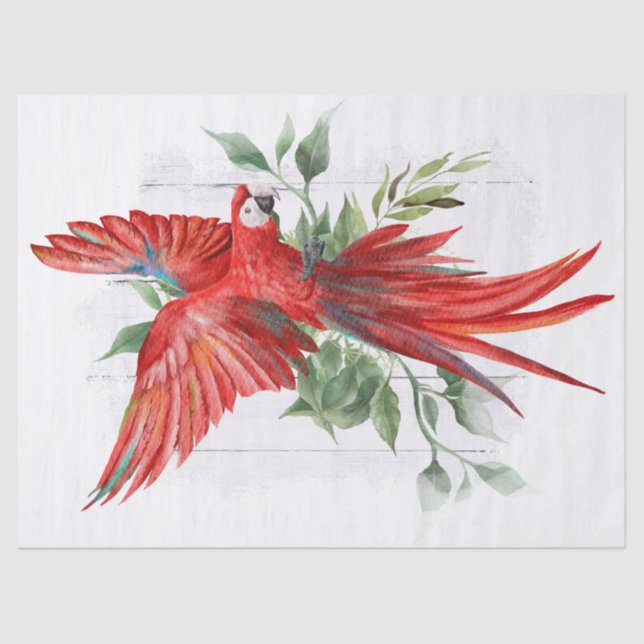 Papier Mousseline Eucalyptus du perroquet macaw (Recto)