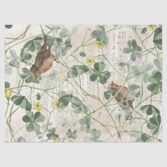 Papier Mousseline European Robin Bird Flowers French Music Decoupage (Recto)