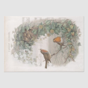 Papier Mousseline European Robin Bird Nest Vines Old Music Decoupage