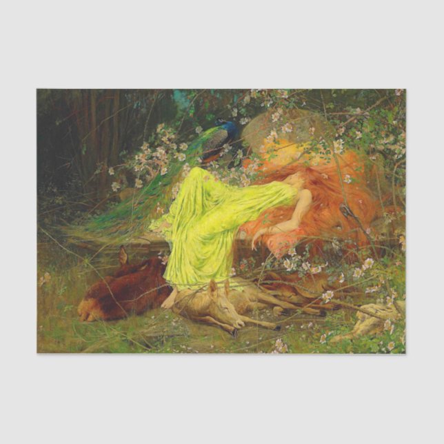 Papier Mousseline Fairy Tale Arthur Wardle (Recto)