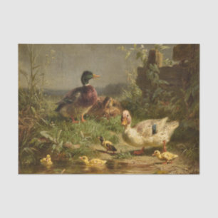 Papier Mousseline Famille de canards par Carl Jutz
