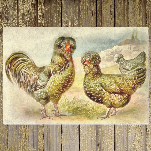 Papier Mousseline Fantastique Ferme Française Houdan Poulets Faux Aq (Créateur téléchargé)