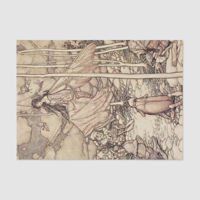 Papier Mousseline "Fées et elfes" par Arthur Rackham (Recto)