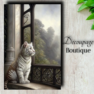 Papier Mousseline Fenêtre Gothique Tigre Blanc Découpage