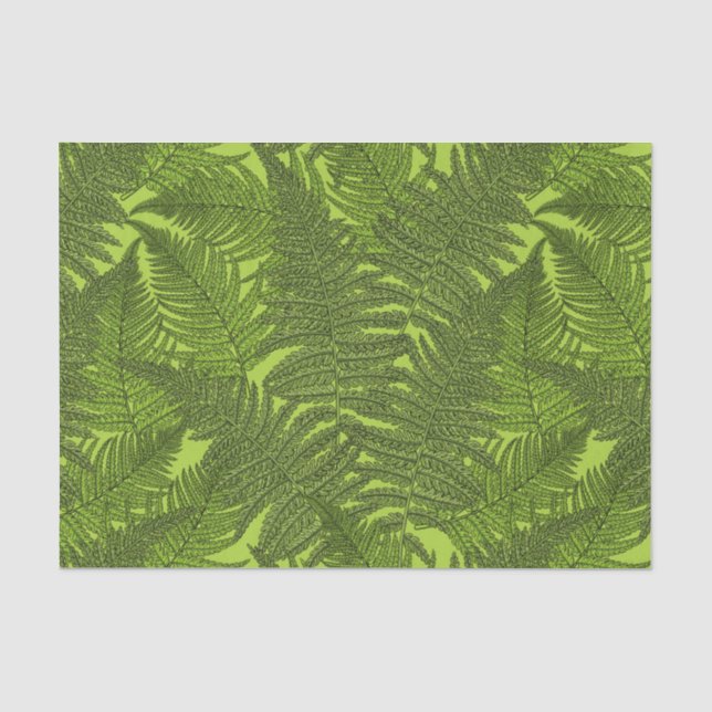 Papier Mousseline Ferme en vert (Recto)
