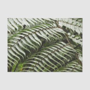 Papier Mousseline Fern Fronds II Dark Green Nature