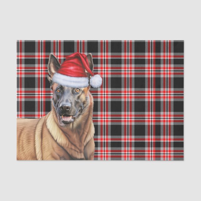 Papier Mousseline Festif Red Plaid Belge Malinois Chien Noël (Recto)
