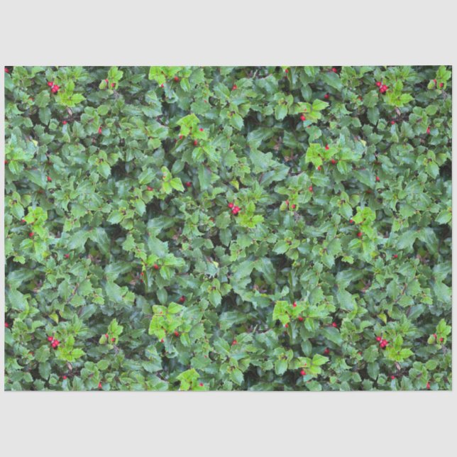 Papier Mousseline Festive Green Holly Berry Noël (Recto)