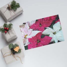 Papier Mousseline Festive vacances Poinsettia Plante Floral