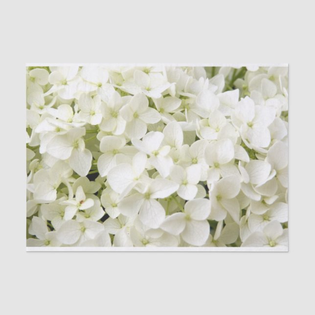 Papier Mousseline Fête d'été à l'hydrangea blanc  (Recto)