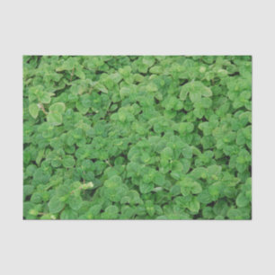 Papier Mousseline Feuillage de menthe