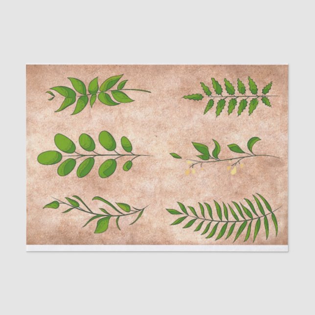 Papier Mousseline Feuillage feuille vert plantes affligés sépia défu (Recto)