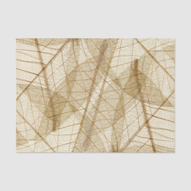 Papier Mousseline Feuille crème pur rustique de dentelle (Recto)
