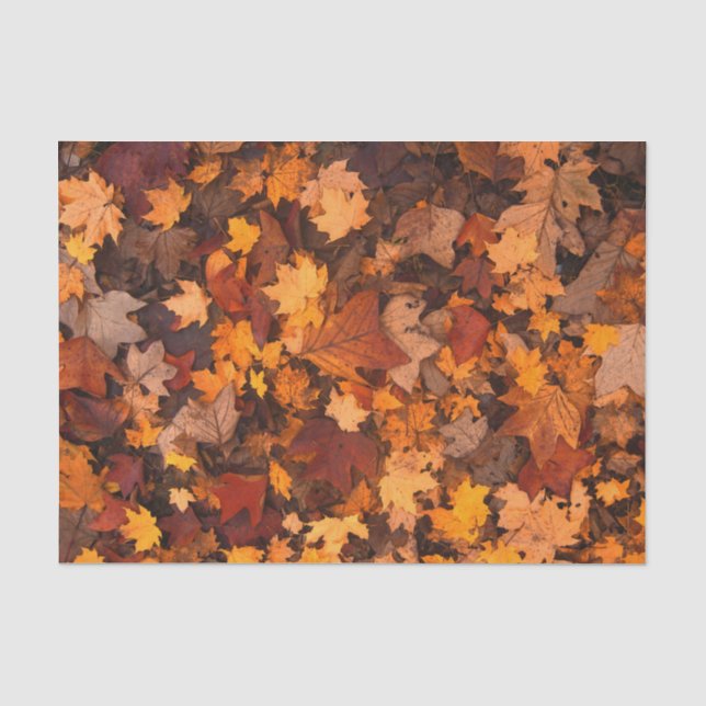 Papier Mousseline Feuille d'automne (Recto)