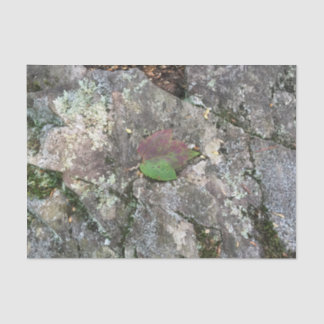 Papier Mousseline Feuille de chute sur la roche