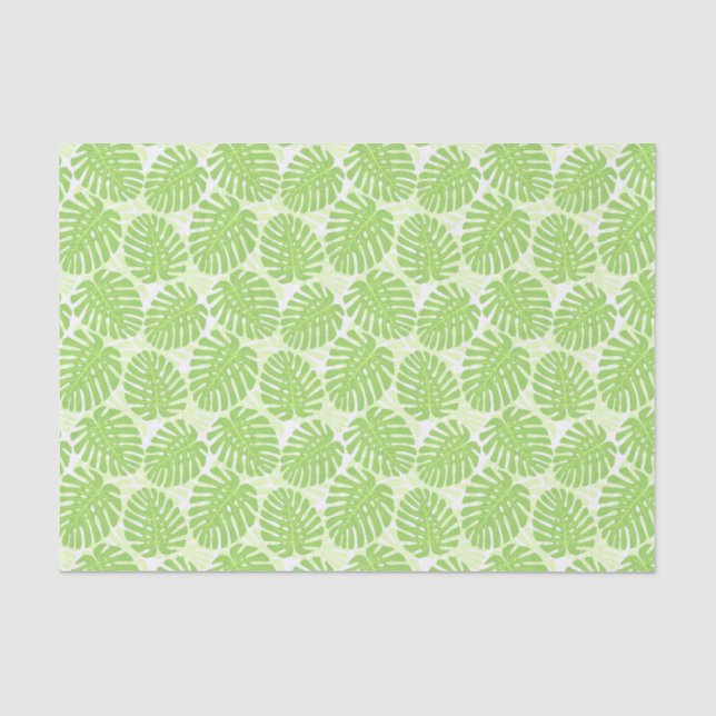 Papier Mousseline Feuille de plante tropicale - motif de Monstera (Recto)