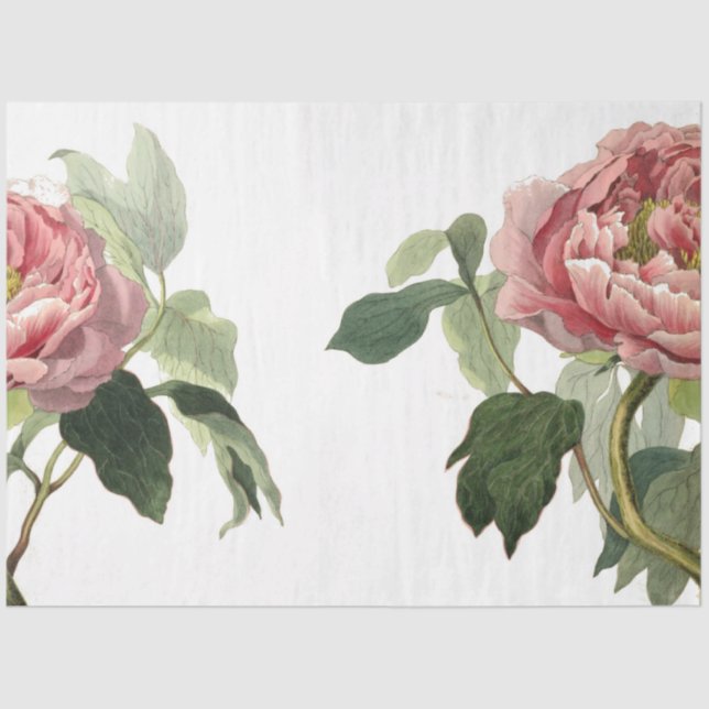 Papier Mousseline Feuille d'éléments du journal de junk rose rose (Recto)