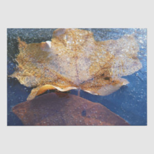 Papier Mousseline Feuille d'érable jaune congelée Automne Nature