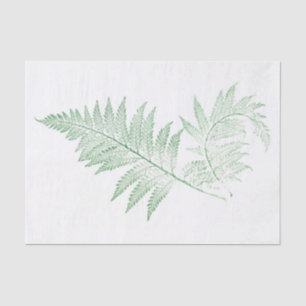 Papier Mousseline Feuille pressé de fougère