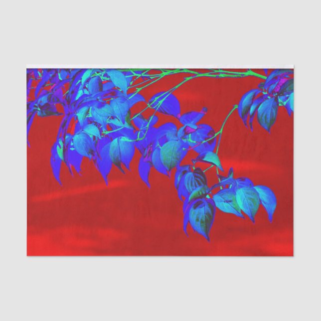 Papier Mousseline Feuilles bleu ciel rouge (Recto)
