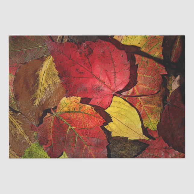 Papier Mousseline Feuilles d'automne colorées (Recto)