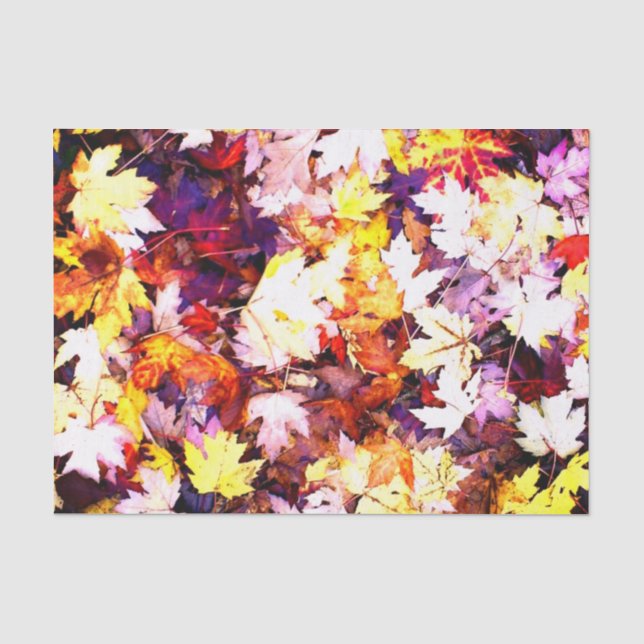 Papier Mousseline Feuilles d'automne Impression photo artisanat de d (Recto)
