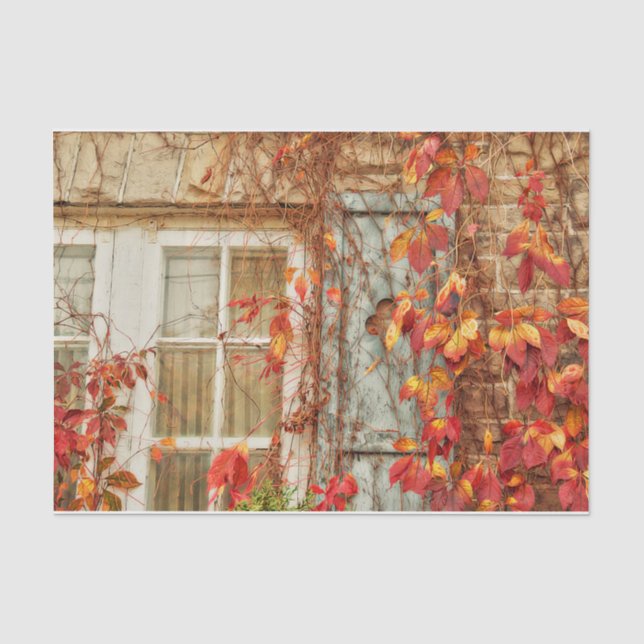 Papier Mousseline Feuilles d'automne Rouge Jaune Antique Fenêtre Pay (Recto)