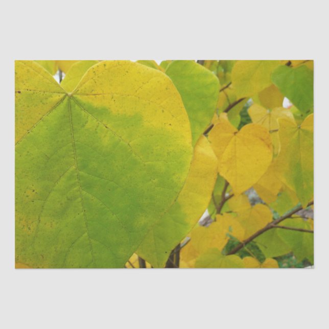 Papier Mousseline Feuilles rouges jaunes et verts (Recto)