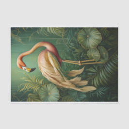 Papier Mousseline Finerie Flamant rose en plumes, Elégante Botanique