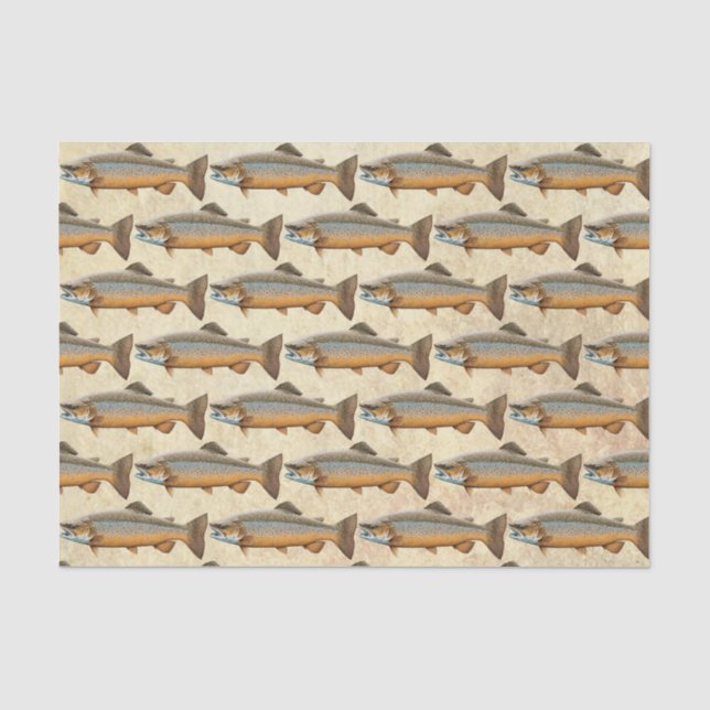 Papier Mousseline Fishing (Recto)