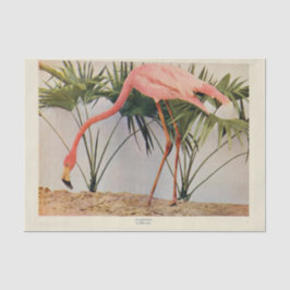 Papier Mousseline Flamant rose Ephémère Découpage Papier de tissus