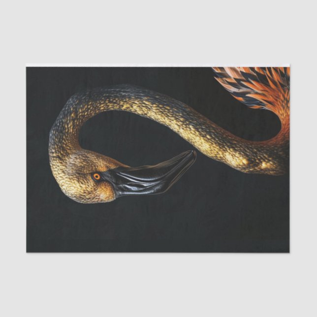 Papier Mousseline Flamant rose noir et or7 (Recto)