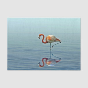 Papier Mousseline Flamant rose rose réflexion Faune photo
