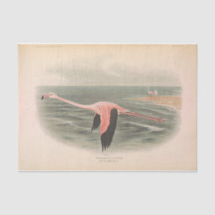 Papier Mousseline Flamant rose volant Ephémère Découpage