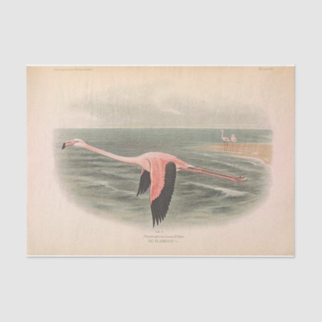 Papier Mousseline Flamant rose volant Ephémère Découpage (Recto)