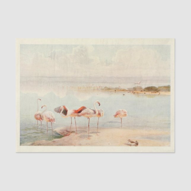 Papier Mousseline Flamants roses Ephémère Découpage (Recto)