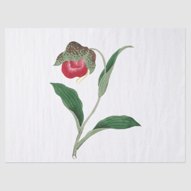 Papier Mousseline Fleur (Recto)