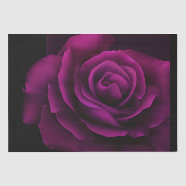 Papier Mousseline Fleur gothique de rose violet-rouge (Recto)